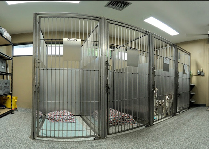 Cowtown-Services-Boarding2 Boarding kennels