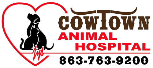 Cowtown AH logo